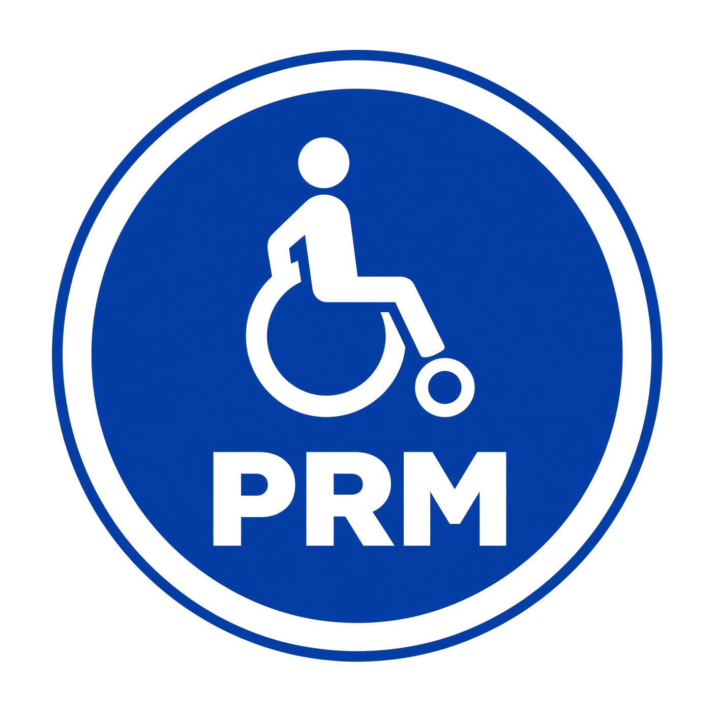 Voorbeeld PRM-trainingsbewijs